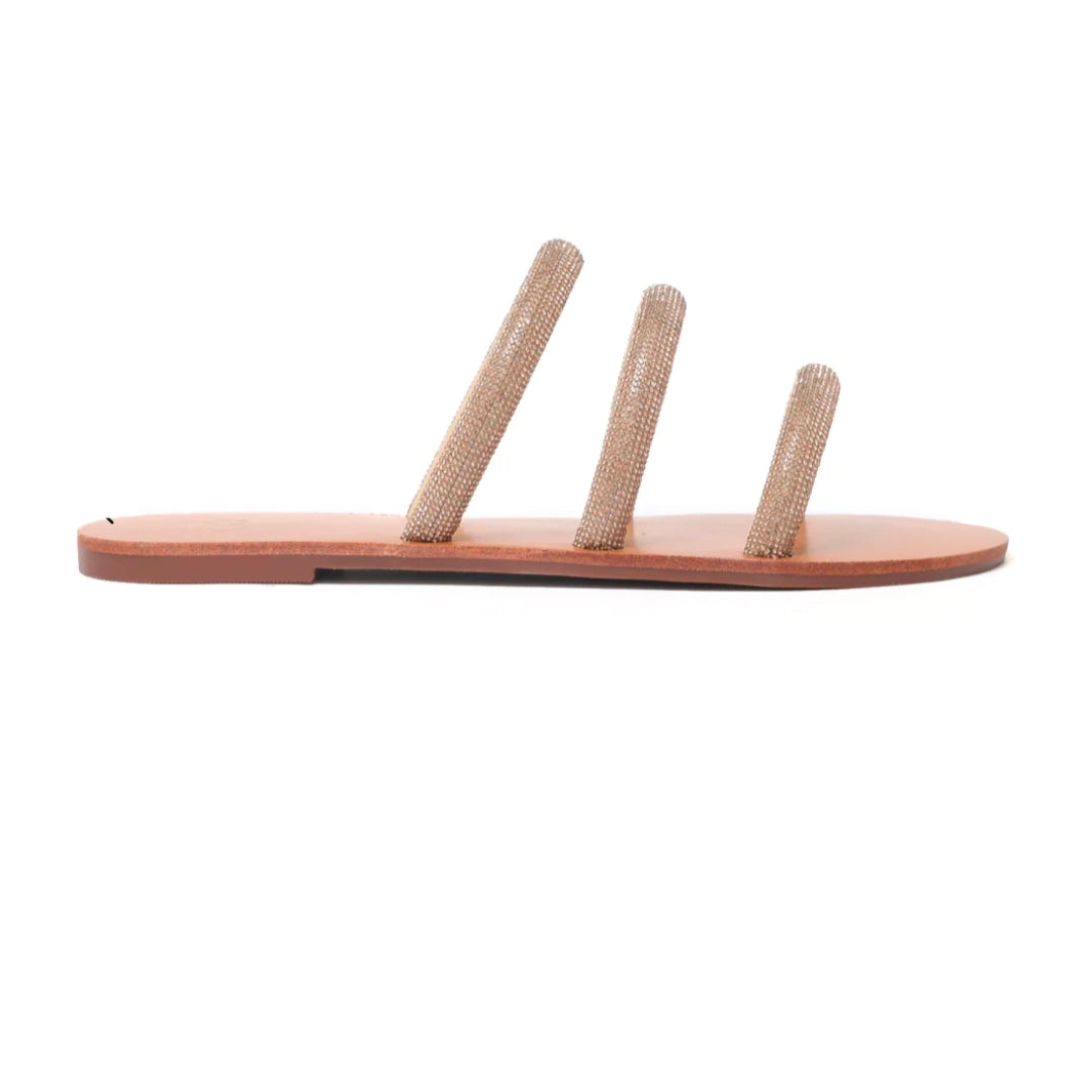 SPARKLY SOLID HUED SLIDES